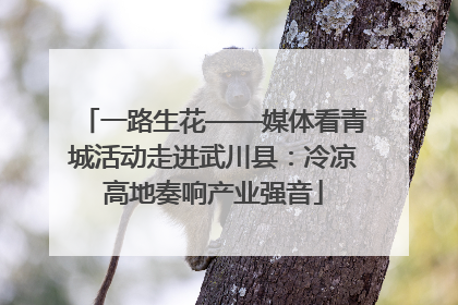 一路生花——媒体看青城活动走进武川县：冷凉高地奏响产业强音