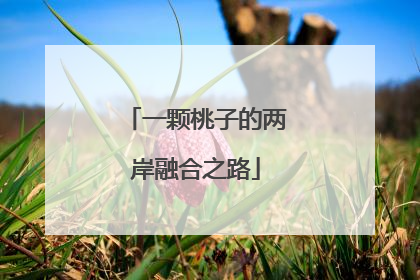 一颗桃子的两岸融合之路
