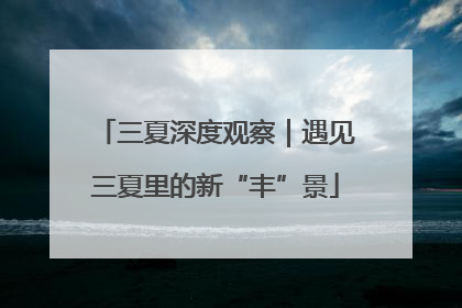 三夏深度观察｜遇见三夏里的新“丰”景