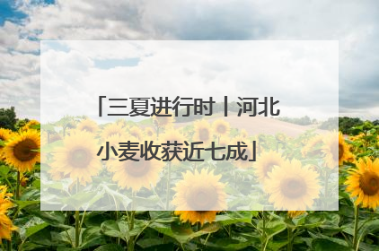 三夏进行时丨河北小麦收获近七成