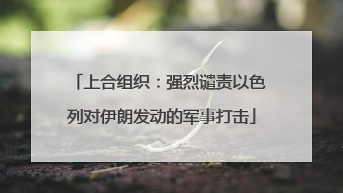 上合组织：强烈谴责以色列对伊朗发动的军事打击