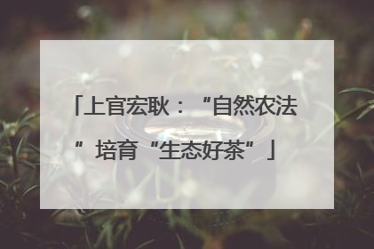 上官宏耿：“自然农法”培育“生态好茶”
