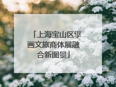 上海宝山区擘画文旅商体展融合新图景