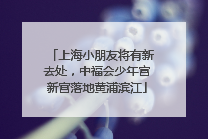 上海小朋友将有新去处，中福会少年宫新宫落地黄浦滨江
