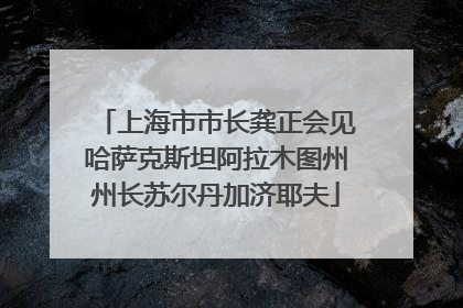 上海市市长龚正会见哈萨克斯坦阿拉木图州州长苏尔丹加济耶夫
