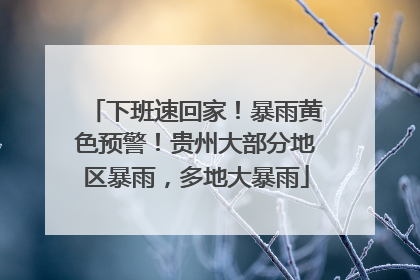 下班速回家！暴雨黄色预警！贵州大部分地区暴雨，多地大暴雨