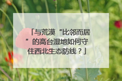 与荒漠“比邻而居”的高台湿地如何守住西北生态防线？
