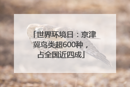 世界环境日：京津冀鸟类超600种，占全国近四成