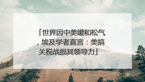 世界因中美缓和松气，埃及学者直言：美搞关税战损其领导力