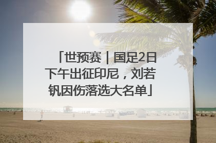 世预赛｜国足2日下午出征印尼，刘若钒因伤落选大名单