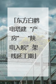 东方白鹳电塔建“产房” “陕电入皖”架线延工期