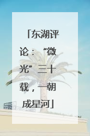 东湖评论：“微光”三十载，一朝成星河