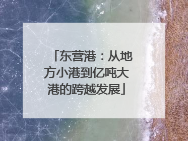 东营港：从地方小港到亿吨大港的跨越发展