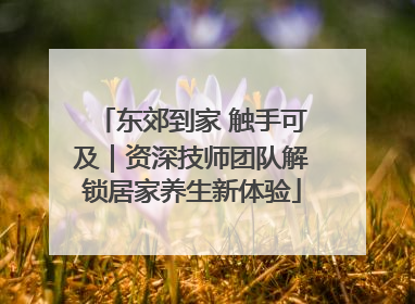 东郊到家 触手可及｜资深技师团队解锁居家养生新体验