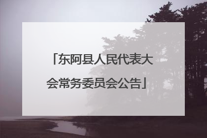 东阿县人民代表大会常务委员会公告