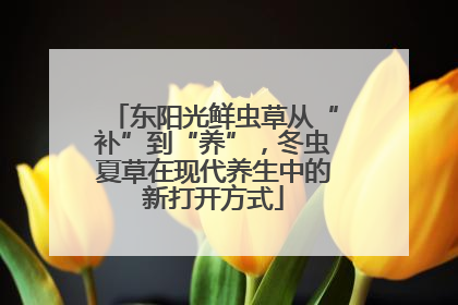 东阳光鲜虫草从“补”到“养”，冬虫夏草在现代养生中的新打开方式