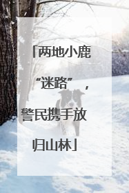 两地小鹿“迷路”，警民携手放归山林