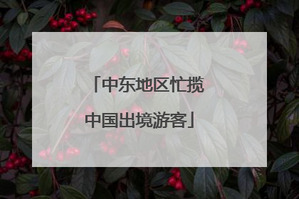 中东地区忙揽中国出境游客