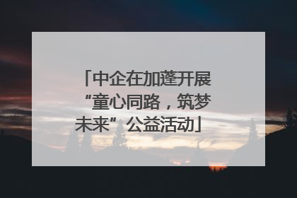 中企在加蓬开展“童心同路，筑梦未来”公益活动