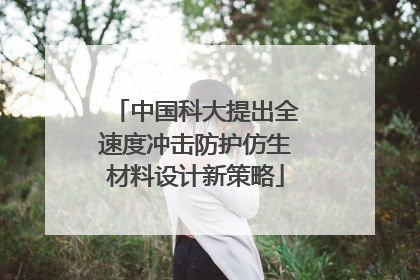 中国科大提出全速度冲击防护仿生材料设计新策略
