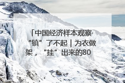 中国经济样本观察·“镇”了不起｜为衣做架，“挂”出来的80亿元“衣架产业”