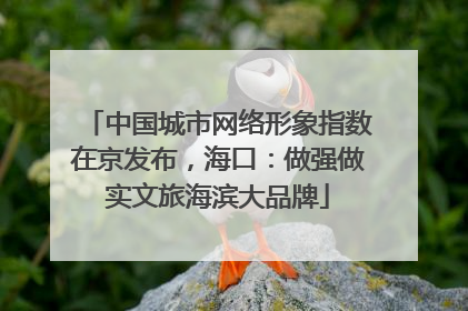 中国城市网络形象指数在京发布，海口：做强做实文旅海滨大品牌