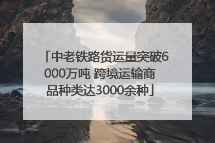 中老铁路货运量突破6000万吨 跨境运输商品种类达3000余种