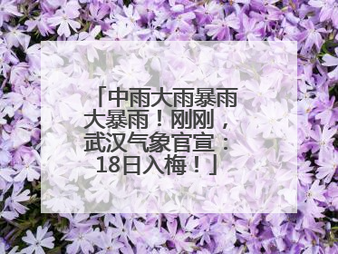 中雨大雨暴雨大暴雨！刚刚，武汉气象官宣：18日入梅！