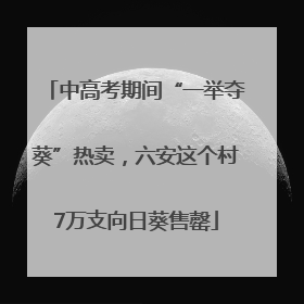 中高考期间“一举夺葵”热卖，六安这个村7万支向日葵售罄