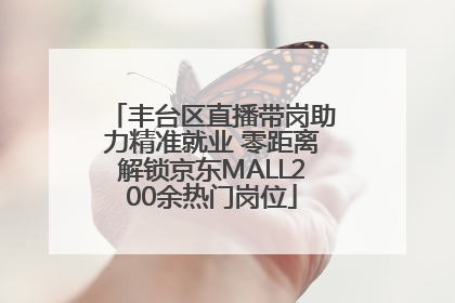 丰台区直播带岗助力精准就业 零距离解锁京东MALL200余热门岗位