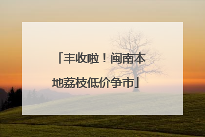 丰收啦！闽南本地荔枝低价争市