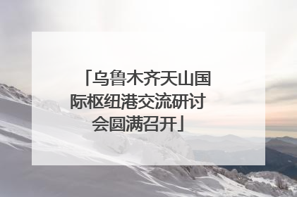乌鲁木齐天山国际枢纽港交流研讨会圆满召开