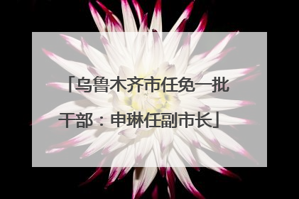 乌鲁木齐市任免一批干部：申琳任副市长