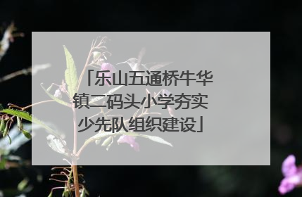 乐山五通桥牛华镇二码头小学夯实少先队组织建设