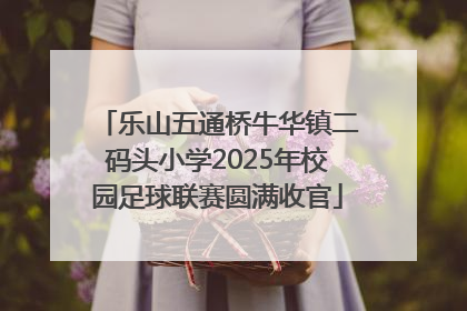 乐山五通桥牛华镇二码头小学2025年校园足球联赛圆满收官