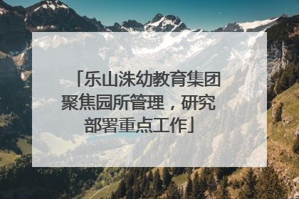 乐山洙幼教育集团聚焦园所管理，研究部署重点工作