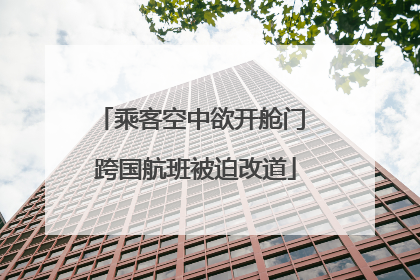 乘客空中欲开舱门 跨国航班被迫改道