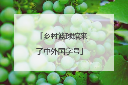 乡村篮球馆来了中外国字号