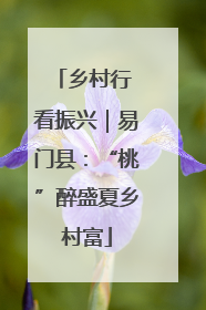 乡村行 看振兴｜易门县：“桃”醉盛夏乡村富