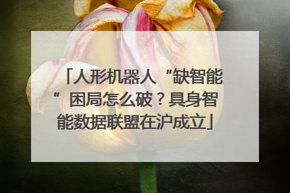 人形机器人“缺智能”困局怎么破？具身智能数据联盟在沪成立