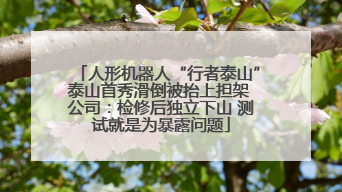 人形机器人“行者泰山”泰山首秀滑倒被抬上担架 公司：检修后独立下山 测试就是为暴露问题