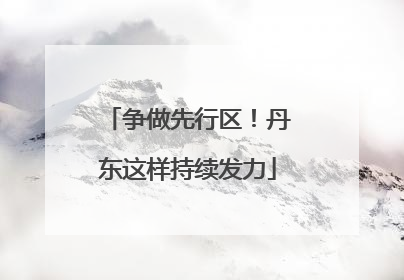 争做先行区！丹东这样持续发力