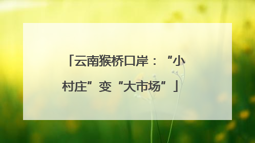 云南猴桥口岸：“小村庄”变“大市场”