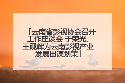 云南省影视协会召开工作座谈会 于荣光、王砚辉为云南影视产业发展出谋划策