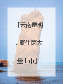 云南昆明：野生菌大量上市
