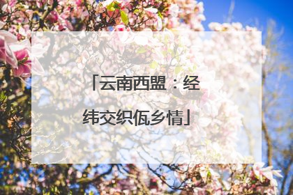 云南西盟：经纬交织佤乡情