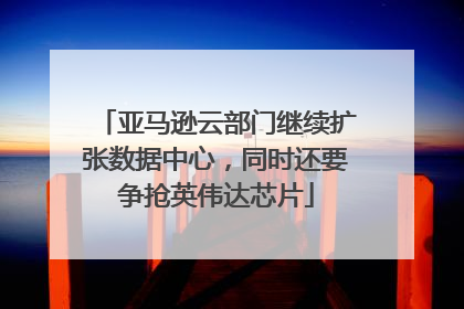 亚马逊云部门继续扩张数据中心，同时还要争抢英伟达芯片
