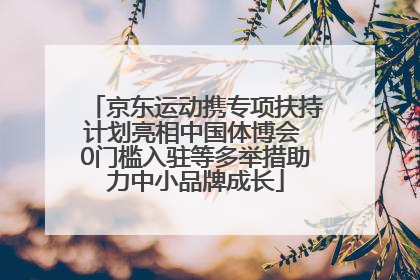 京东运动携专项扶持计划亮相中国体博会 0门槛入驻等多举措助力中小品牌成长