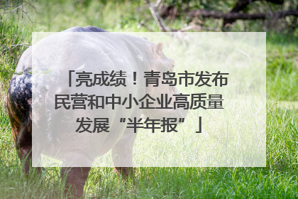 亮成绩！青岛市发布民营和中小企业高质量发展“半年报”