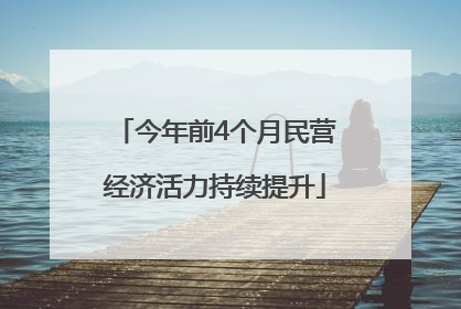 今年前4个月民营经济活力持续提升